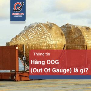 Hàng OOG là hàng gì? Những lưu ý khi vận chuyển hàng OOG