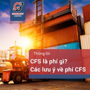 Phí CFS là phí gì? Những điều cần lưu ý về phí CFS