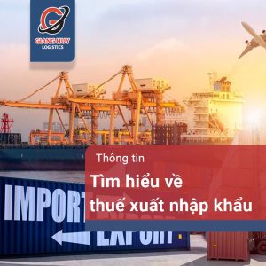 Thuế xuất nhập khẩu là gì và những thông tin cần biết