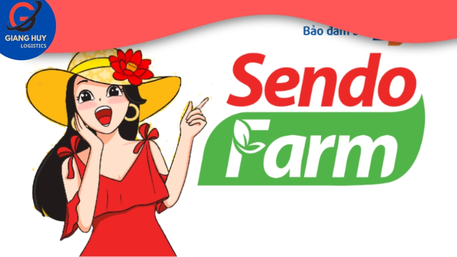 Sendo Farm giúp Sendo trở thành app mua sắm online được lòng các nội trợ