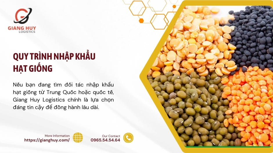 Thủ tục nhập khẩu hạt giống chi tiết từ A-Z cho doanh nghiệp 3 Quy trình nhập khẩu hạt giống chi tiết